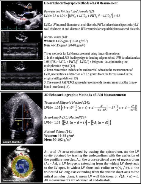 lvh measurements in echo